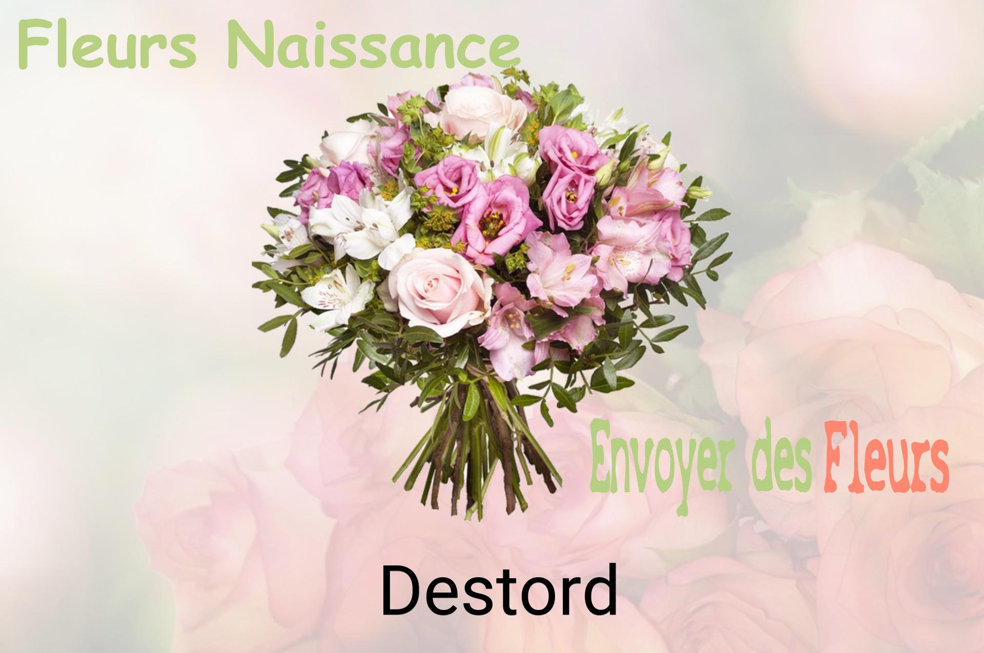 Bouquet de fleurs de naissance livré à Destord